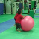 홍지유치원 이미지