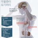 출구는 놀이 이미지