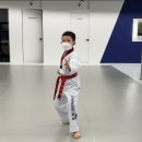 국가대표태권도 예가 이미지