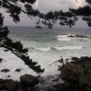 솔향민박 이미지