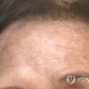 헤나유통