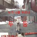 쓰담, 쓰담 Daum카페