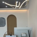 강아지 미용실 이미지