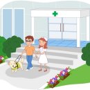 햇빛 동물병원 이미지