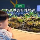 우리나라 멸종위기 야생동물 이해하기 | 김해 주말 아이와 가볼만한곳 화포천습지과학관