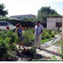 다복민박 이미지