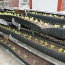 서원동-66 이미지