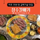 장수갈매기 이미지