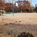 등촌근린공원 이미지