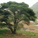 사계절우리집민박 이미지