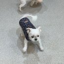 멍테소리 이미지