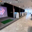 신호스크린골프