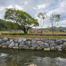 안성시현곡보건진료소 이미지