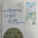 청계천카랜드 네이버블로그