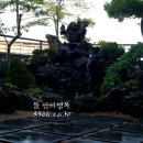 뜰안의행복 이미지