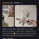 댕실댕실 이미지