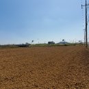 제주땅도집도OK공인중개사사무소 | 서귀포 소형주택 토지안내 ▒제주땅도집도OK공인중개사사무소▒