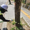 187 경기도민일보