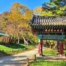 영천암 | 금산 가볼만한곳 가을에 찾아가는 보석사와 은행나무