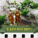 궁아로마 네이버블로그