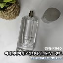 미들우드 | 올영남자향수 이세이미야케 르셀디세이 마린우드센트 후기