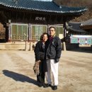 사일온천 이미지