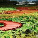 with(지리산건강찾기) 이미지