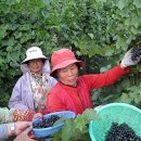 설천면118 이미지