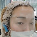 건니크 이미지