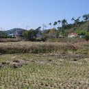 대운산리 이미지