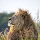 화성반월중학교 이미지