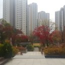 행복댄스 이미지