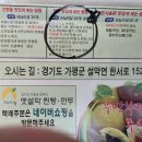 옛설악찐빵·만두