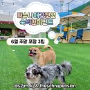 더슈나애견펜션