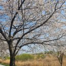 망경자전거 도로 이미지