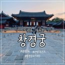 창경호텔 | 창경궁, 조선왕조의 스토리를 품은 아름다운 궁전 (feat 창경궁야간개장)