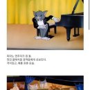 제리스토리 이미지