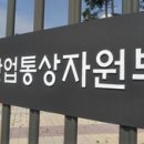 웰니스글로벌통상 넥스트이코노미