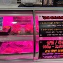 나인PC방 이미지