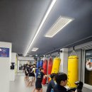 팀맥 스타짐 네이버블로그