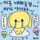 [일상 블로그] 7-8월의 일상