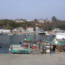 죽림마을 이미지