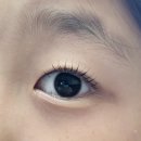 그리다브로우 네이버블로그