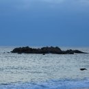 봉황대고분 이미지