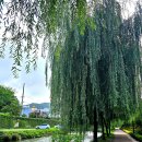 서면 산단1길 이미지