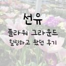 남동화원 | 구월동 대형화원 ' 선유 플라워 그라운드 ' 다녀온 후기