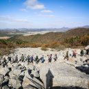 달마고도 이미지