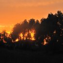 노을바다 이미지