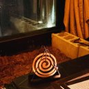 에피소드 706 이미지