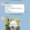 까까멍 이미지